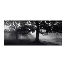 Moveis E Decoracao Nao Ha Casa Como A Nossa Picture Frame Wall Frames On Wall Ikea Pictures