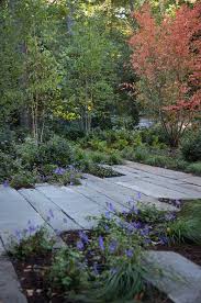 Decoration Cunningham Beautifull Beginners Landscape Container Countyard Vegetable Lanscape Backyar Landscape Design Garden Design Garden Landscaping