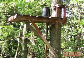 You have to be focused on choosing and shooting your target deer. Some Old School Hunters Would Rather Build Their Own Treestand Than Buy One Off The Shelf Here Are Some Tips Tree Stand Hunting Homemade Tree Stand Deer Stand