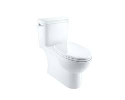 dual flush toilets caroma usa