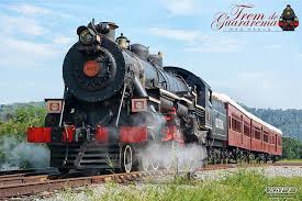 Image result for Trema sp A