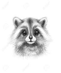 (3) blending stump (you can use paint brush. Pencil Drawing Animal Images Animals Pencil Drawing