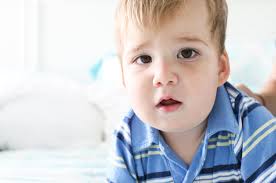 Profile for Danielle Tingley Photography