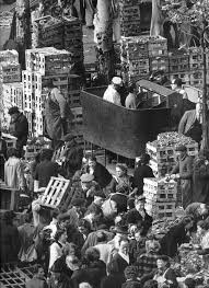 Online Browsing Robert Doisneau The Marvels Of Daily Life Are Exciting No Movie Director Can Arrange Ideias De Fotos Grandes Fotografos Fotografia De Rua