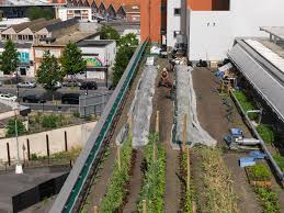 Le Principe De Ruralite Grand Paris Geoffroy Mathieu