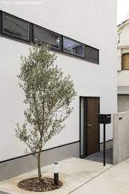 人気のシンボルツリーを調べてみました yahoo 不動産おうちマガジン 玄関 木 玄関アプローチ デザイン ガーデン デザイン