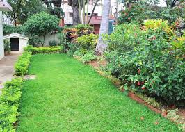 Find free, professional images of home gardens, backyards, greenhouses, patios, terraces & more! Red House Garden An Indian Garden Indian Garden Home Garden Plants Garden Planning Layout