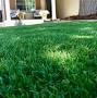 Lawn Pros LLC | Artificial Grass from lawn-pros-landscaping-artificial-grass-synthetic.business.site