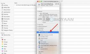 Hardware profiles specifies whether hardware profiles, including icc display profiles used to improve the display quality of attached monitors, can be downloaded from google servers. How To Set Or Change Default Apps On Mac Guide