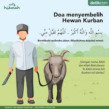 Doa Menyembelih Hewan Kurban