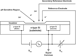 Method comparison of spectroquant® phosphate test and photometry in accordance with din en iso 6878. Https Aslopubs Onlinelibrary Wiley Com Doi Pdf 10 4319 Lom 2010 8 172