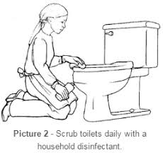 Omg i saw one of these big brownish black tadpole things in my toilet and i thought maybe it came i have been finding the exact same little black worms with pinchers on their heads like an earwig, but the ones i encounter move really slow. Pinworms Treatment Prevention And When To See A Doctor