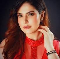 zareen khan husband name from www.thewikifeed.com