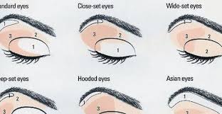 Eyeshadow Application Chart Step By Step Eyeshadow Tutorial