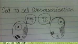 Funny Pun Cell To Cell Communication Funnypics Funnypictures Pun Funny Humor Funny Puns Puns Funny Pictures