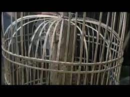 Setelah itu dengan menggunakan kain kasa, peras hingga air tahu keluar 2. Cara Membuat Kurungan Ayam Sederhana Dari Bambu Bekas Youtube