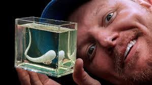 Will Seals's Instagram, Twitter & Facebook