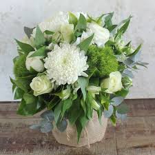 Check spelling or type a new query. Christmas Flowers Christmas Flowers Delivered Sydney Wide