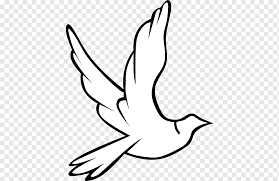 Many of these images are not wallpaper sized. White Dove Illustration Columbidae Doves As Symbols Holy Spirit Holy S White Hand Monochrome Png Pngwing