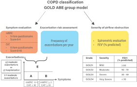 Image result for COPD Exacerbation Decision Tool