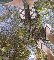 Things to do in blackville. God S Acre Healing Springs Blackville 2021 All You Need To Know Before You Go With Photos Tripadvisor