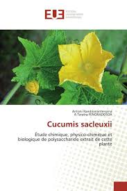 Image result for Cucumis sacleuxii