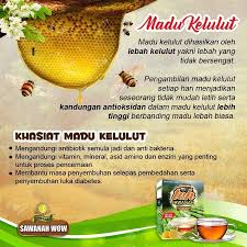 Rasa madu kelulut adalah manis sedikit masam. Mutiara Ayman Ni Antara Kelebihan Dan Khasiat Yang Facebook