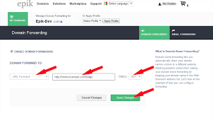 Domain Forwarding Wildcard Redirect And Url Forwarding Epik
