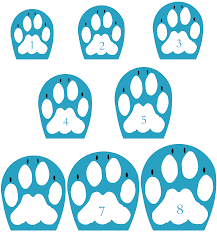 All Dog Boots Sizing Charts Edesign Pro Company