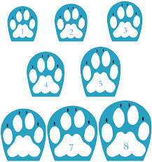 all dog boots sizing charts edesign pro company