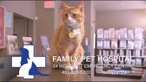 Normally, emergency veterinary clinics charge more than regular animal hospitals. Homepage Family Pet Hospital 24 Hour Pet Emergency Centre