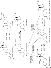 We would like to show you a description here but the site won't allow us. Human Cytochrome P450 Enzymes Springerlink