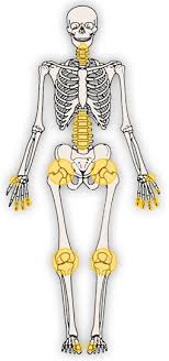 All setups are well equipped and best suited for patient comfort & accessibility. Arthrose Springerlink