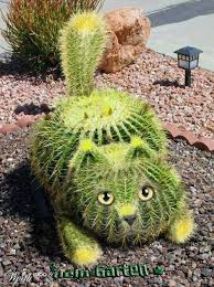 Susse Kaktus Katze Topiary Garden Plants Stone Cactus Susse Kaktus Katze Topiary Garden Plants Stone Cactus In 2020 Pflanzen Kaktusgarten Kakteen Garten