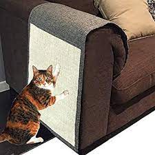 Pin On Kissoille For The Cats