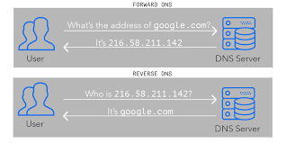 Dns Forward Lookup Zone Forward Lookup Zone How To Create A Dns Forward Lookup Zone
