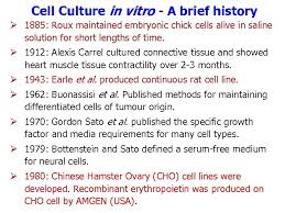 We did not find results for: Animal Cell Tissue And Organ Culture What