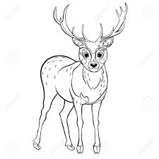 Both realistic and cartoonish images of deer are available which can be printed to be used in homes and schools. Coloring Page Outline Of Cute Cartoon Deer Vector Image Isolated On White Background Coloring Book Of Forest Wild Animals For Kids Royalty Free Cliparts Vectors And Stock Illustration Image 142281130