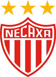 El futbolista chileno de los rayos del necaxa, edson puch, planea rendirle un homenaje muy peculiar a don ramón, personaje de la serie de televisión el chavo del 8, creada por el comediante roberto. Club Necaxa Wikipedia