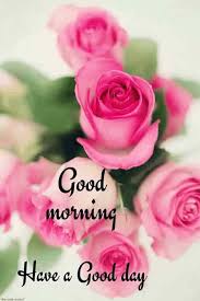Friend beautiful flower good morning images. Good Morning Flower Images Free Download Good Morning