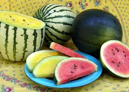 And no, watermelons do not ripen after they're picked. How You Can Tell If A Watermelon Is Ripe Hgtv