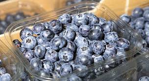 We did not find results for: Large Containers For Blueberries Are Becoming More Frequent Blueberries Consulting