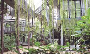 Reka bentuk landskap kawasan kecil adalah tugas yang sukar tetapi boleh dilaksanakan. Reka Bentuk Biophilic Trend Terkini