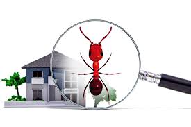 Whether you're pest control company job is in omaha or any other city, you're going to want to do a bit of research before hiring pest control companies. Pest Inspections Page Omaha Pest Control Inc