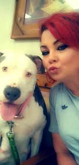 Lost dogs found at Esso station