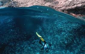 10 Best Snorkel Fins For Travel 2020 Review Guide