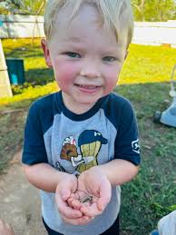 Caterbaby” as Chandler would call it 🐛🐛