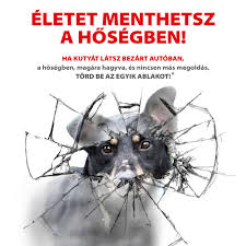 Hőségriadót adtak ki csongrád megyére. Ha Vegszukseg Van Akkor A Hosegben A Kocsiban Hagyott Kutya Eletenek Erdekeben Akar Auto Ablaka Is Betorheto Vigyel Haza Alapitvany Az Arva Es Serult Kutyakert Fogadj Orokbe Egy Kutyat