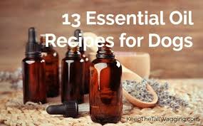 Top 24 doterra essential oils reviews. 13 Essential Oil Recipes For Dogs Keep The Tail Wagging