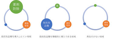 Manual Control イネ縞葉枯病に関する情報
